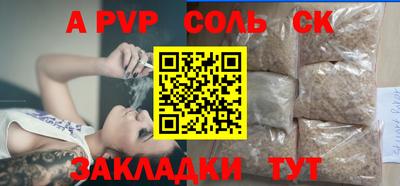 шишки Аргун